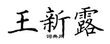 丁謙王新露楷書個性簽名怎么寫