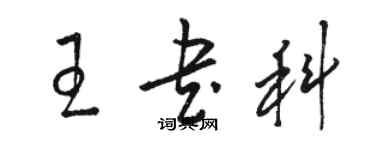 駱恆光王書科草書個性簽名怎么寫