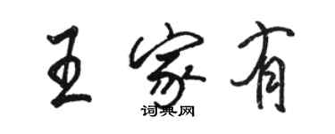 駱恆光王家有行書個性簽名怎么寫