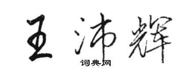 駱恆光王沛輝行書個性簽名怎么寫