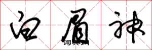 朱錫榮白眉神草書怎么寫