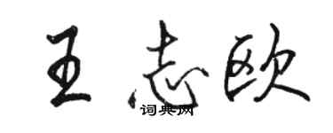 駱恆光王志歐行書個性簽名怎么寫