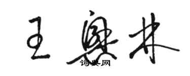 駱恆光王興林草書個性簽名怎么寫