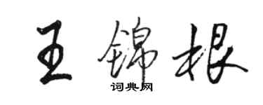 駱恆光王錦根行書個性簽名怎么寫