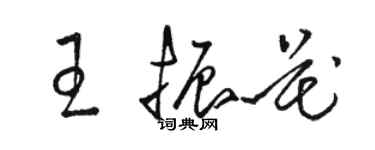 駱恆光王振花草書個性簽名怎么寫