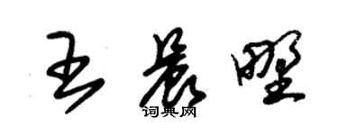 朱錫榮王晨野草書個性簽名怎么寫