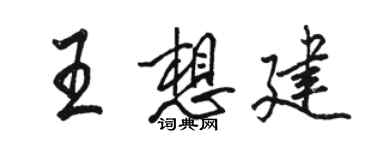 駱恆光王想建行書個性簽名怎么寫