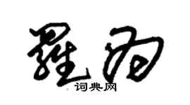 朱錫榮羅為草書個性簽名怎么寫