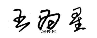 朱錫榮王為星草書個性簽名怎么寫