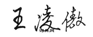 駱恆光王凌傲行書個性簽名怎么寫