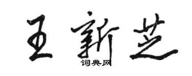 駱恆光王新芝行書個性簽名怎么寫