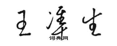 駱恆光王準生草書個性簽名怎么寫