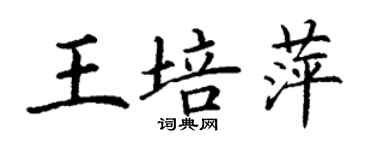 丁謙王培萍楷書個性簽名怎么寫