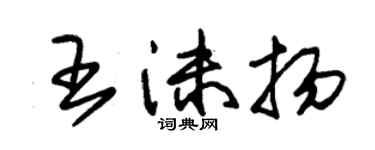 朱錫榮王沫揚草書個性簽名怎么寫