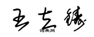朱錫榮王立鑄草書個性簽名怎么寫