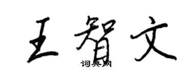 王正良王智文行書個性簽名怎么寫