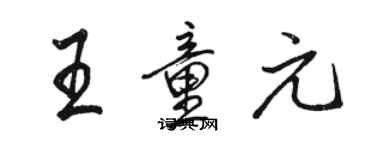 駱恆光王童元行書個性簽名怎么寫