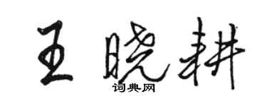 駱恆光王曉耕行書個性簽名怎么寫