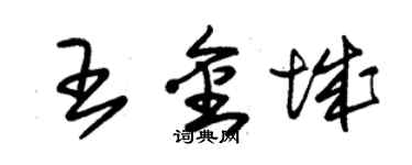 朱錫榮王金城草書個性簽名怎么寫