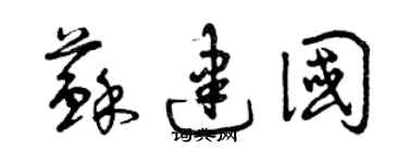 曾慶福蘇建國草書個性簽名怎么寫