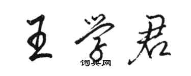 駱恆光王學君行書個性簽名怎么寫