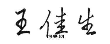 駱恆光王佳生行書個性簽名怎么寫