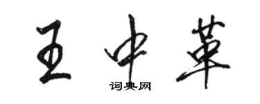 駱恆光王中革行書個性簽名怎么寫