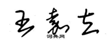 朱錫榮王嘉立草書個性簽名怎么寫