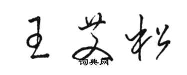 駱恆光王艾松草書個性簽名怎么寫