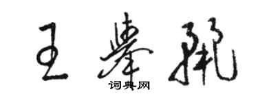 駱恆光王舉麗草書個性簽名怎么寫