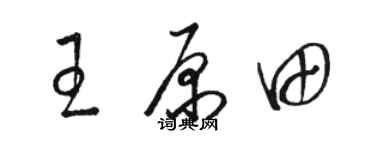 駱恆光王原田草書個性簽名怎么寫
