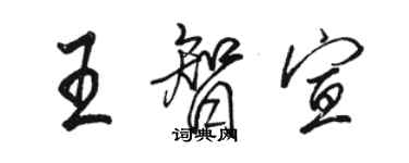 駱恆光王智宣行書個性簽名怎么寫