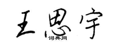 王正良王思宇行書個性簽名怎么寫