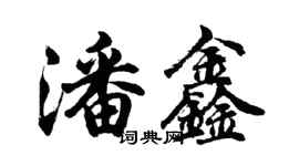 胡問遂潘鑫行書個性簽名怎么寫