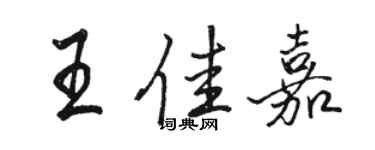 駱恆光王佳嘉行書個性簽名怎么寫