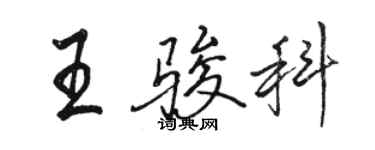 駱恆光王駿科行書個性簽名怎么寫