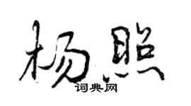 曾慶福楊照行書個性簽名怎么寫