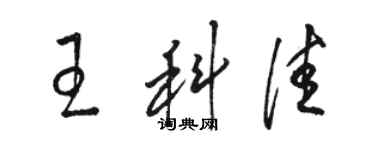 駱恆光王科佳草書個性簽名怎么寫