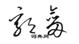 駱恆光郭劍草書個性簽名怎么寫