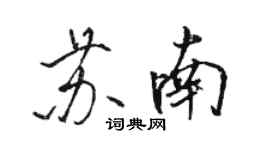 駱恆光蘇南行書個性簽名怎么寫