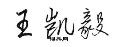 駱恆光王凱毅行書個性簽名怎么寫