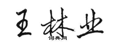 駱恆光王林業行書個性簽名怎么寫