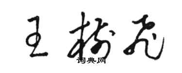 駱恆光王樹飛草書個性簽名怎么寫