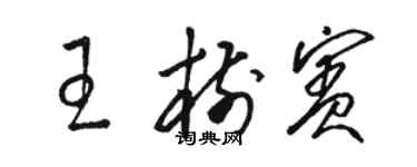 駱恆光王樹賓草書個性簽名怎么寫