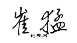 駱恆光崔猛行書個性簽名怎么寫