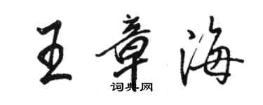 駱恆光王章海行書個性簽名怎么寫