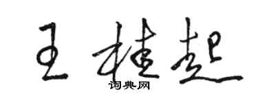 駱恆光王桂起草書個性簽名怎么寫