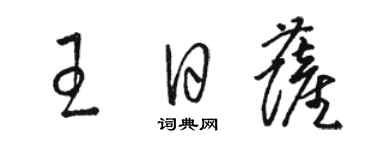 駱恆光王日薩草書個性簽名怎么寫