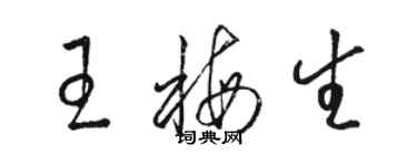 駱恆光王梅生草書個性簽名怎么寫