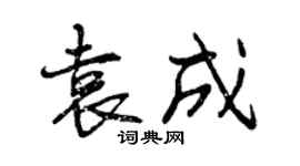 曾慶福袁成行書個性簽名怎么寫